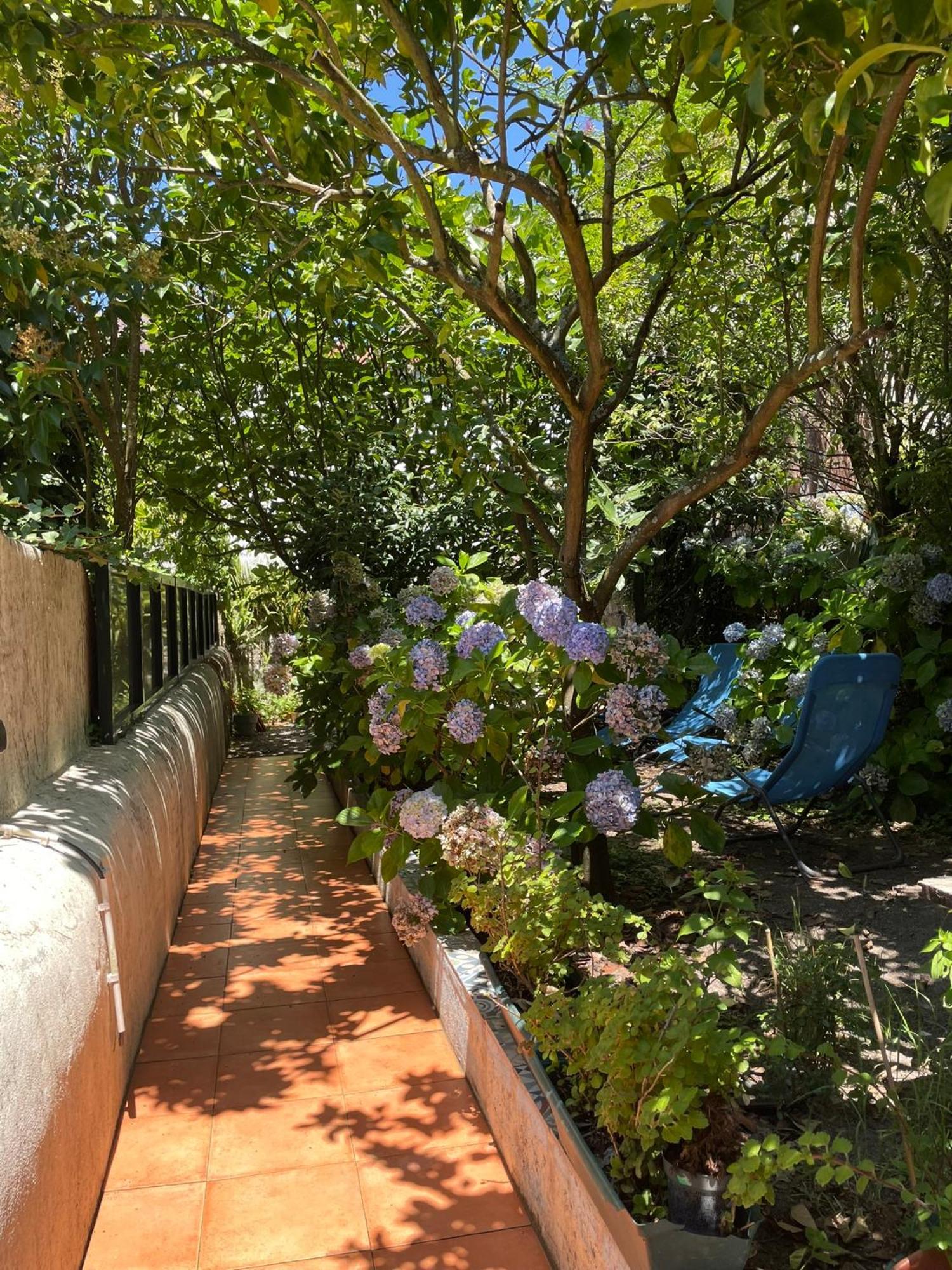 波尔图Casa Portugueza Experience公寓 外观 照片